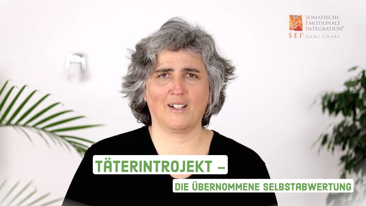 Täterintrojekt - die übernommene Selbstabwertung