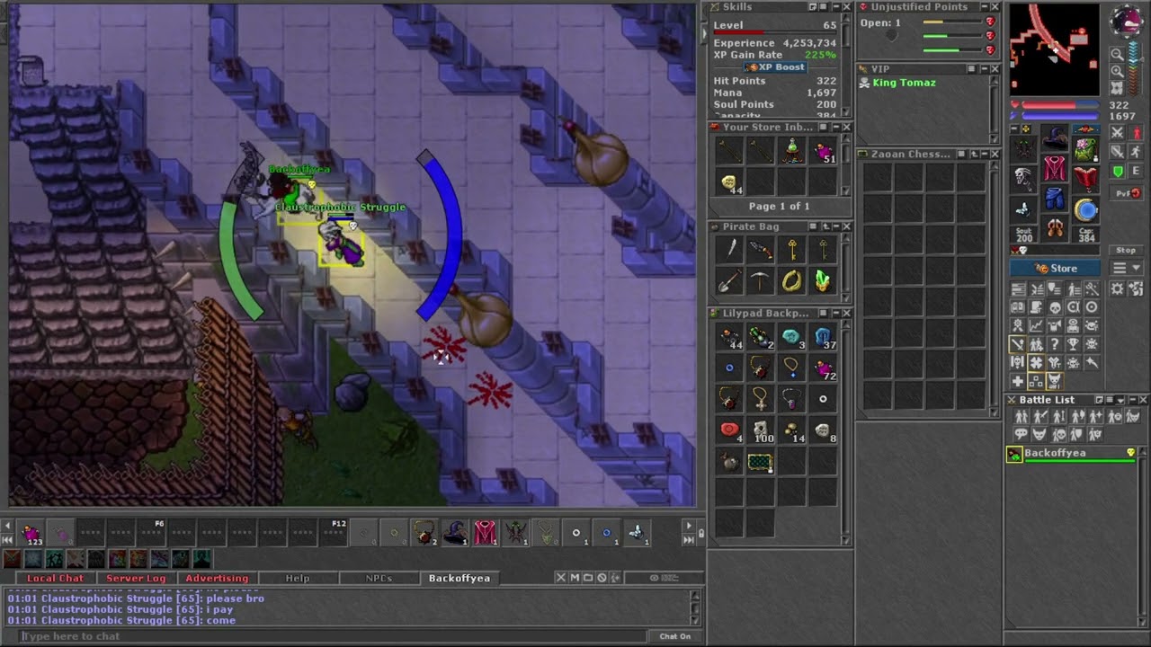 Tibia PK Vunira - Backoffyea 86 Royal Paladin