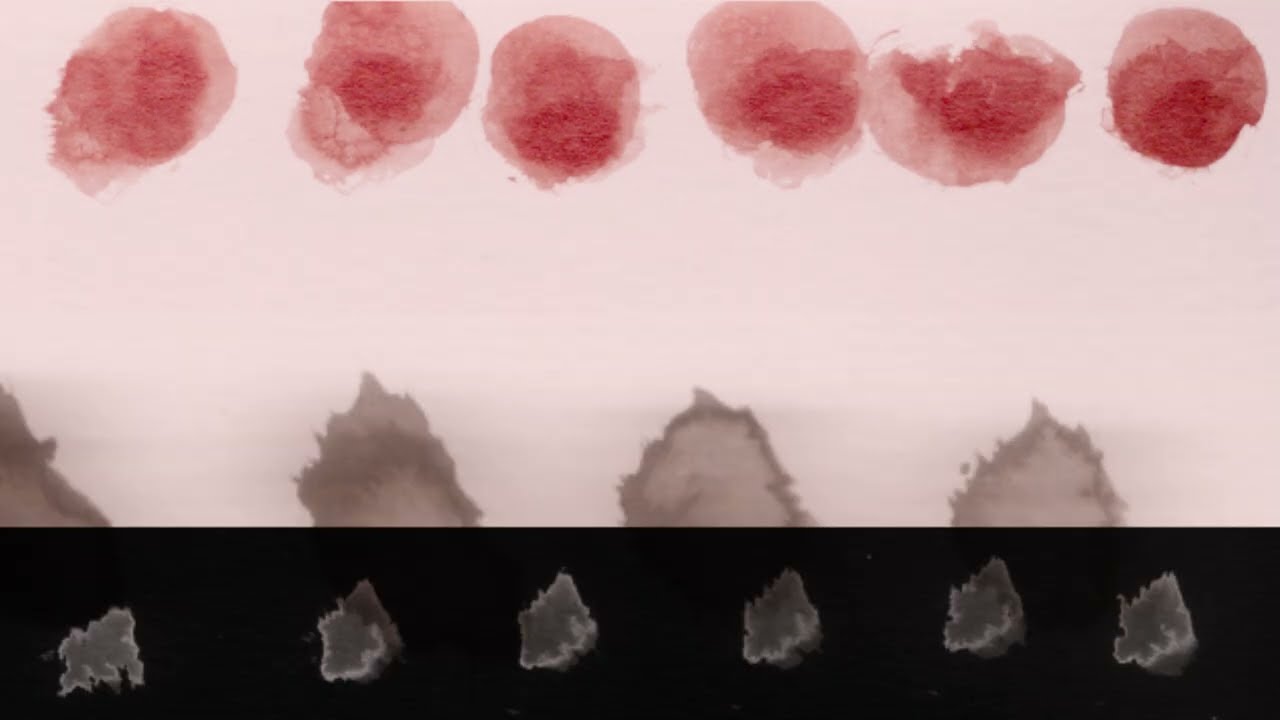 Insufficient Funs 'RoJa'