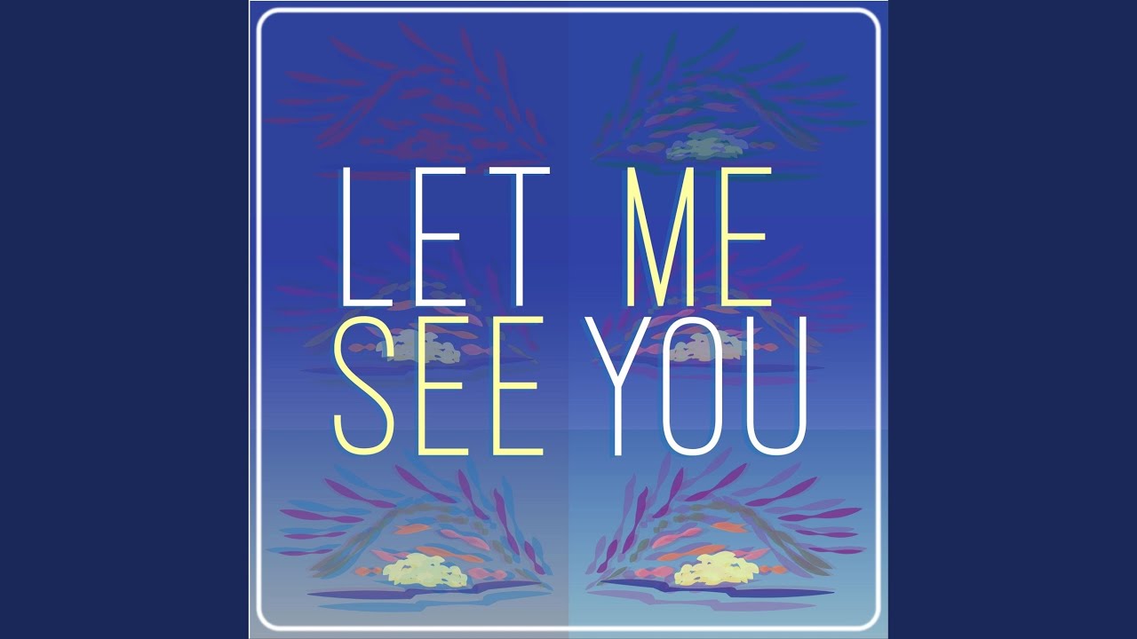 Let Me See You