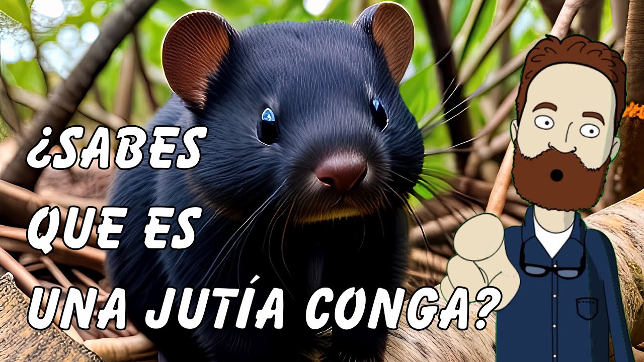 Descubre el misterio de la Jutía Conga
