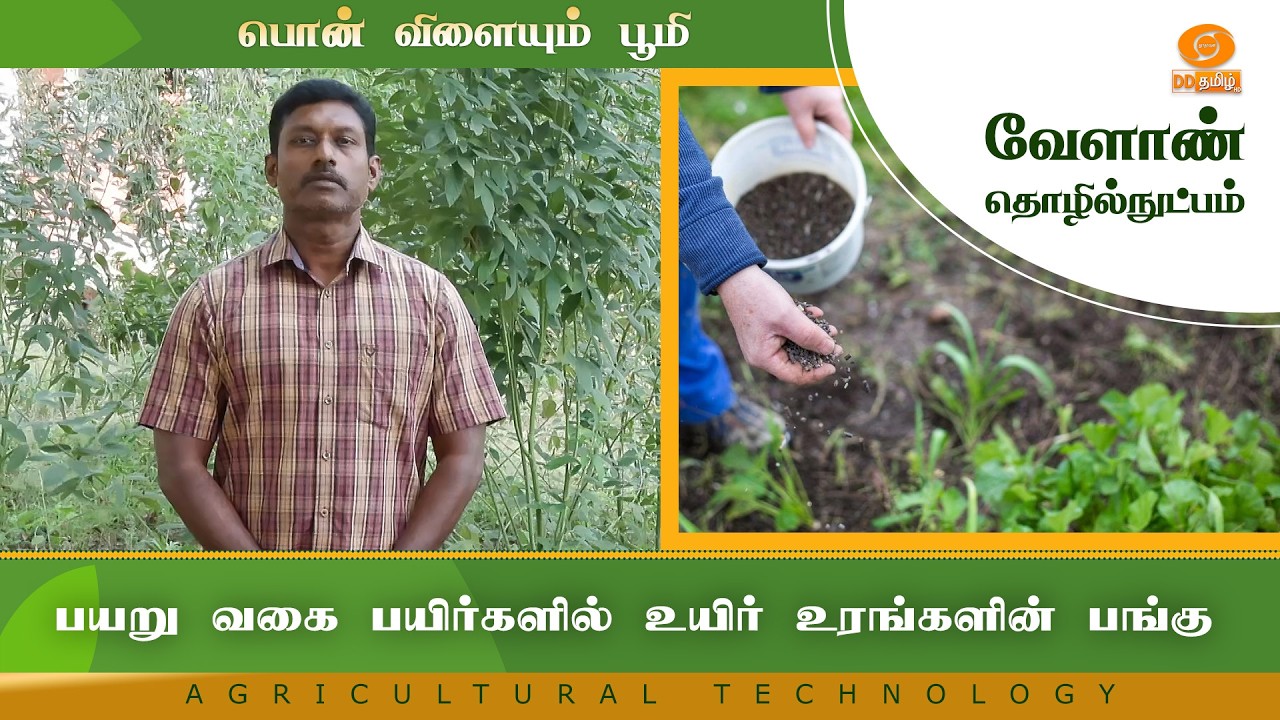 பயறு வகை பயிர்களில் உயிர் உரங்களின் பங்கு | Agriculture Technology