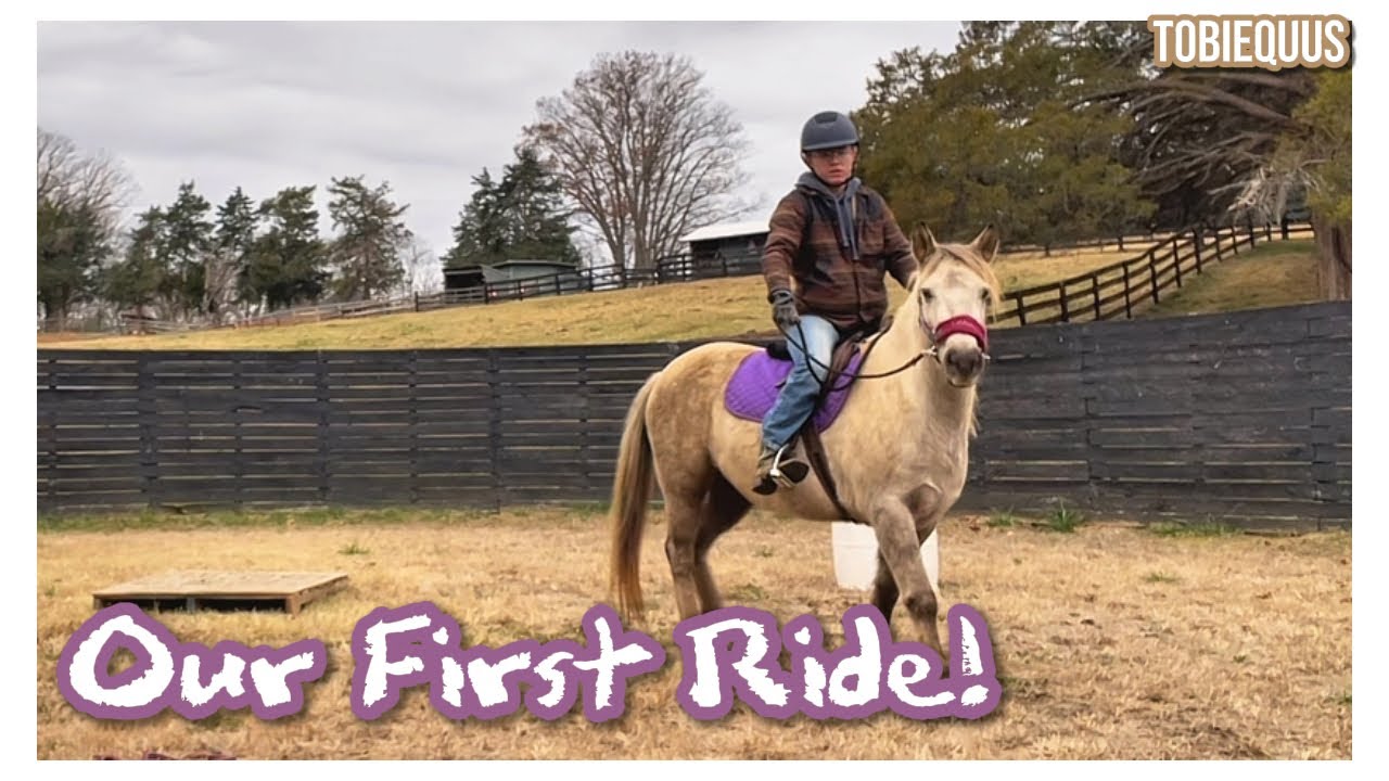 Riding my Chincoteague pony for the first time - Weeks 3-4 with Snickerdoodle. [Tobiequus]