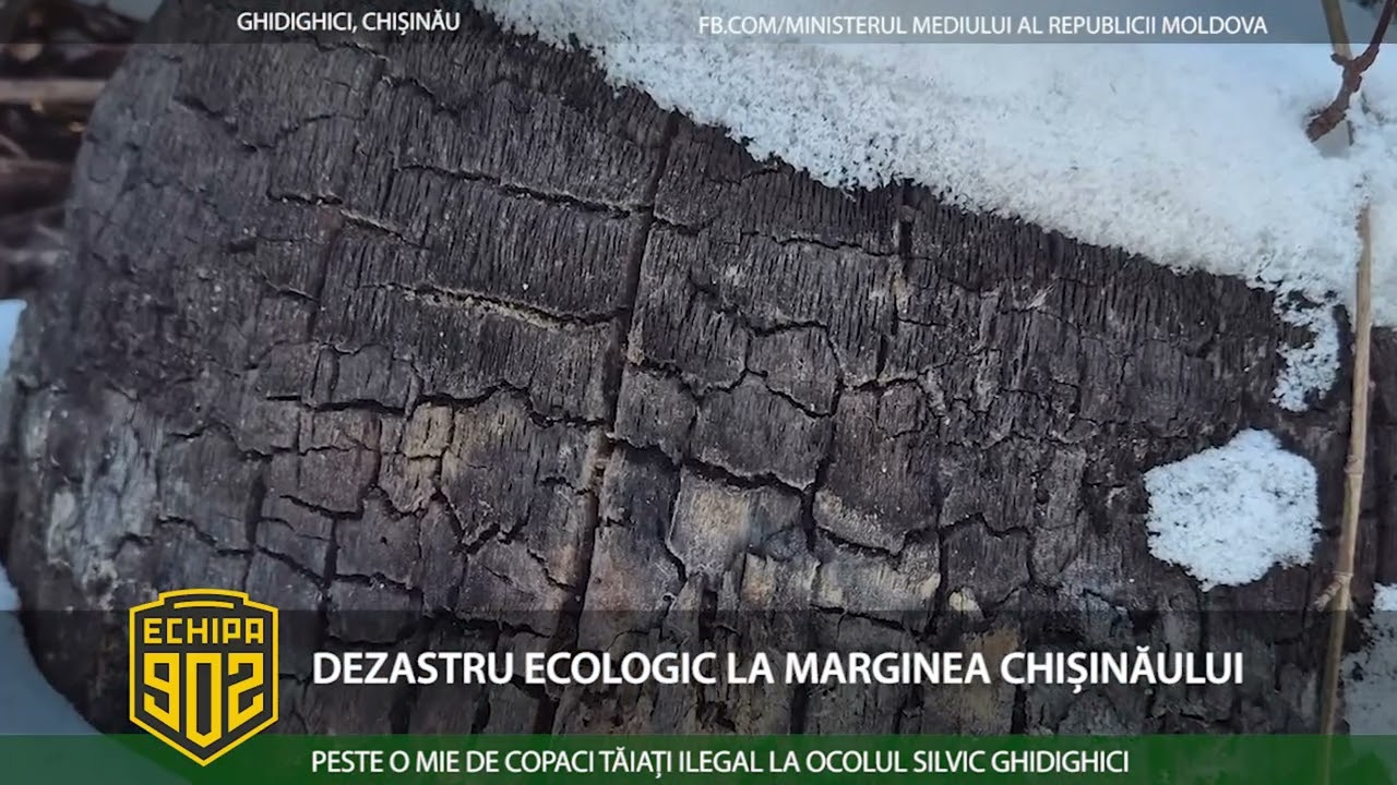902 DEZASTRU ECOLOGIC LA MARGINEA CHIȘINĂULUI
