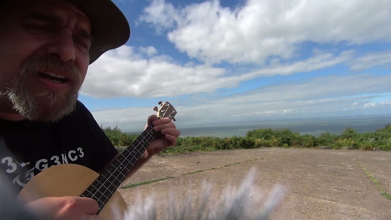 TALKIN 'BOUT A REVOLUTION by Tracy Chapman. Baritone Ukulele Cover  ,chords below ⬇️ ( re-post )