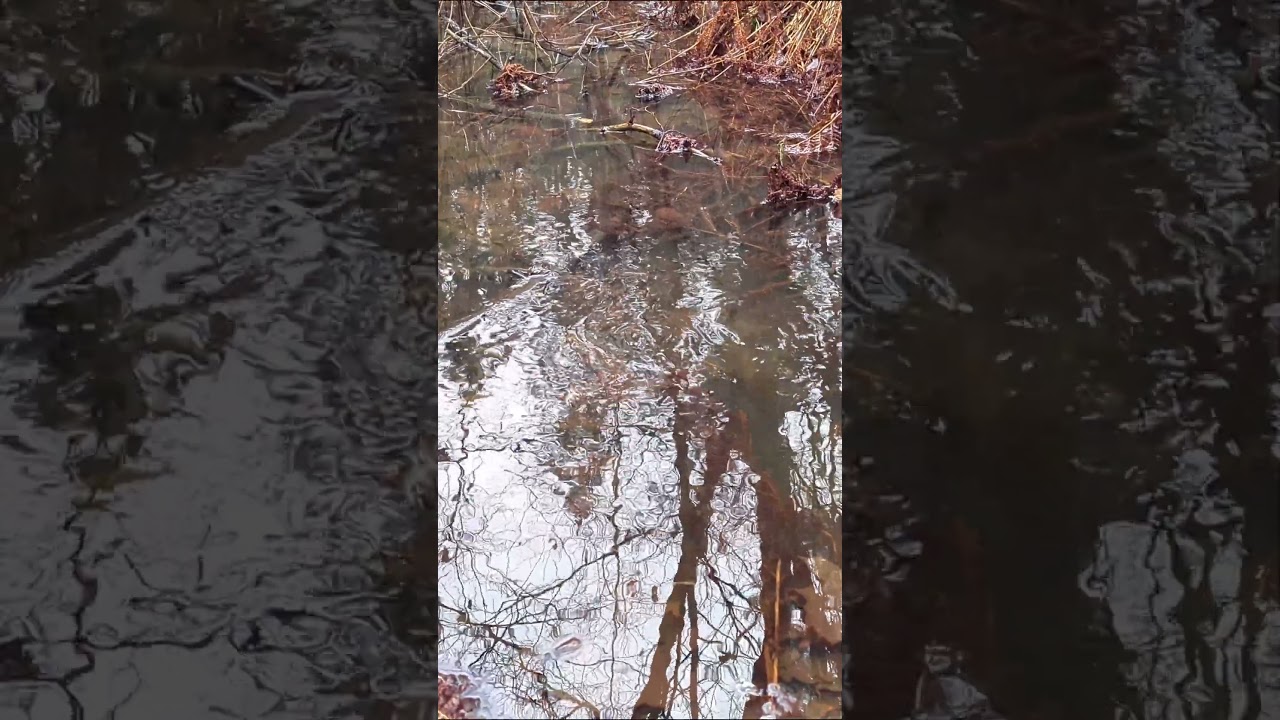 Cold water moving on its own