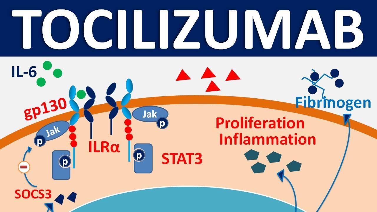Tocilizumab - Mechanism, side effects, precautions & uses