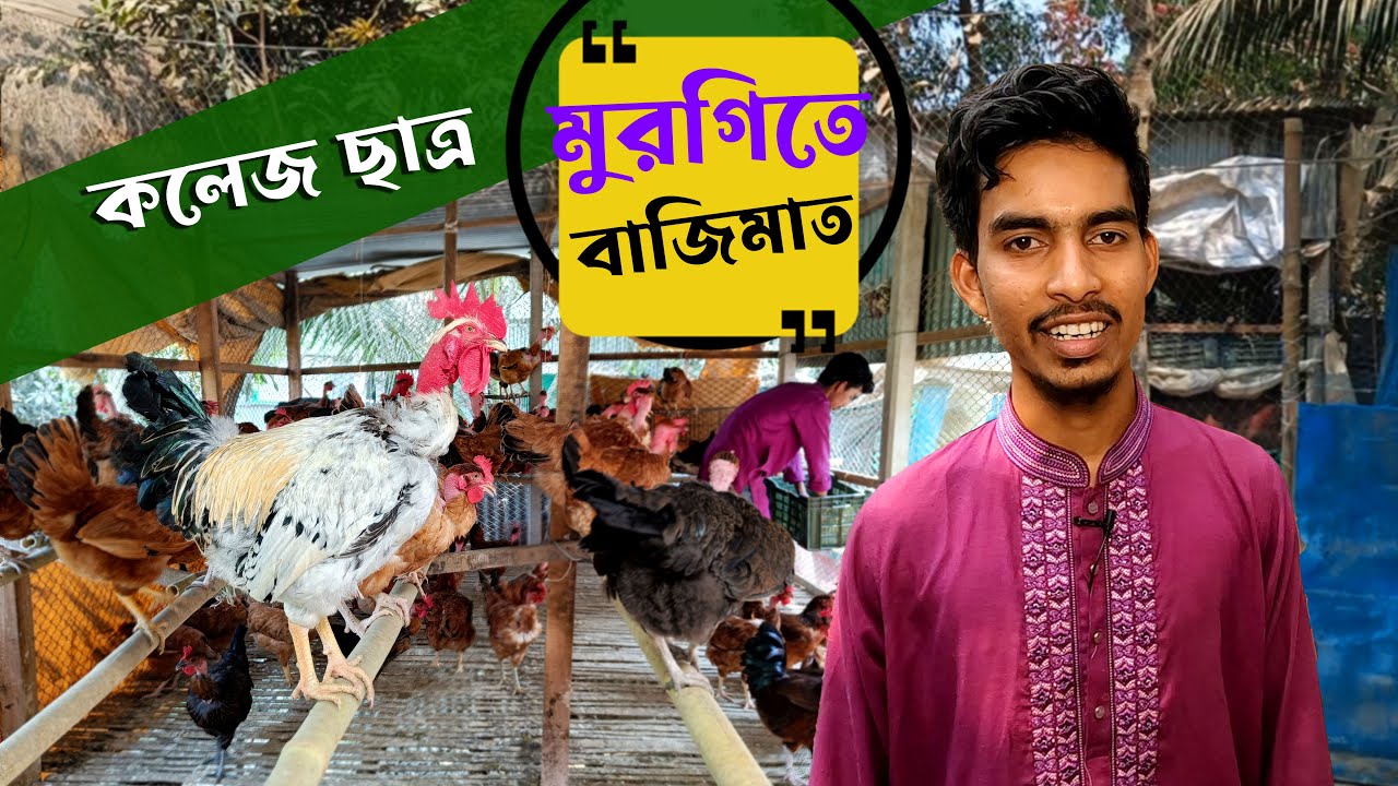 ছাত্র যখন মুরগি খামারি লাভ হবে দ্বিগুন - দেশি মুরগি পালন | গলাছিলা মুরগির খামার গলাছিলা || কৃষি ঘর