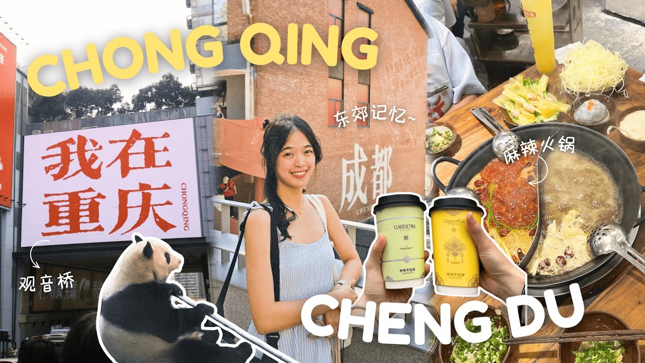 重庆 成都 vlog 🇨🇳 | trip with friends, city walk, hotpot, shopping, pandas 🐼