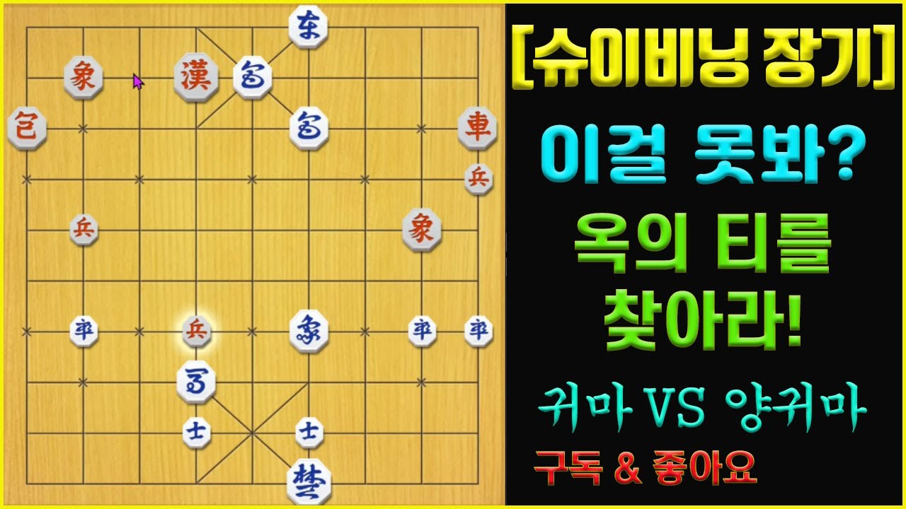 옥의 티를 찾아라!!! 9단들이 이걸 못본다고요???    (슈이비닝 장기)