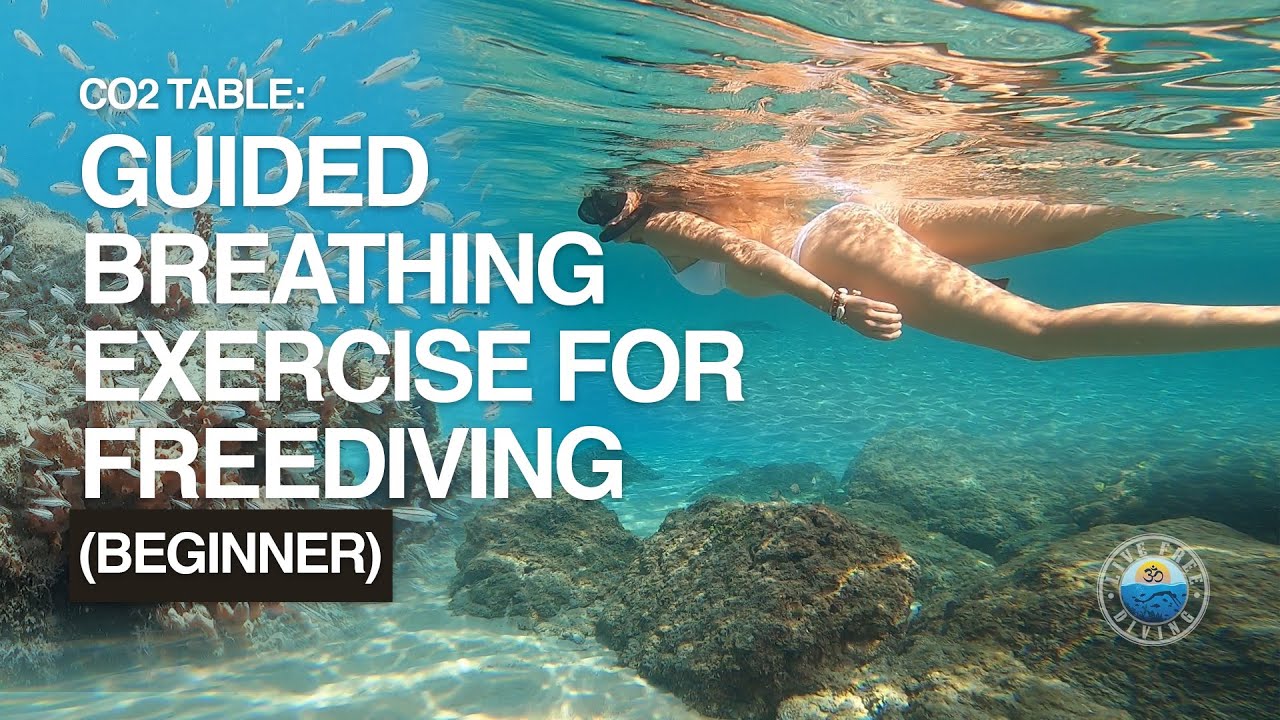Co2 Table: Guided Breathing Exercise for Freediving and Wellness (Beginner)