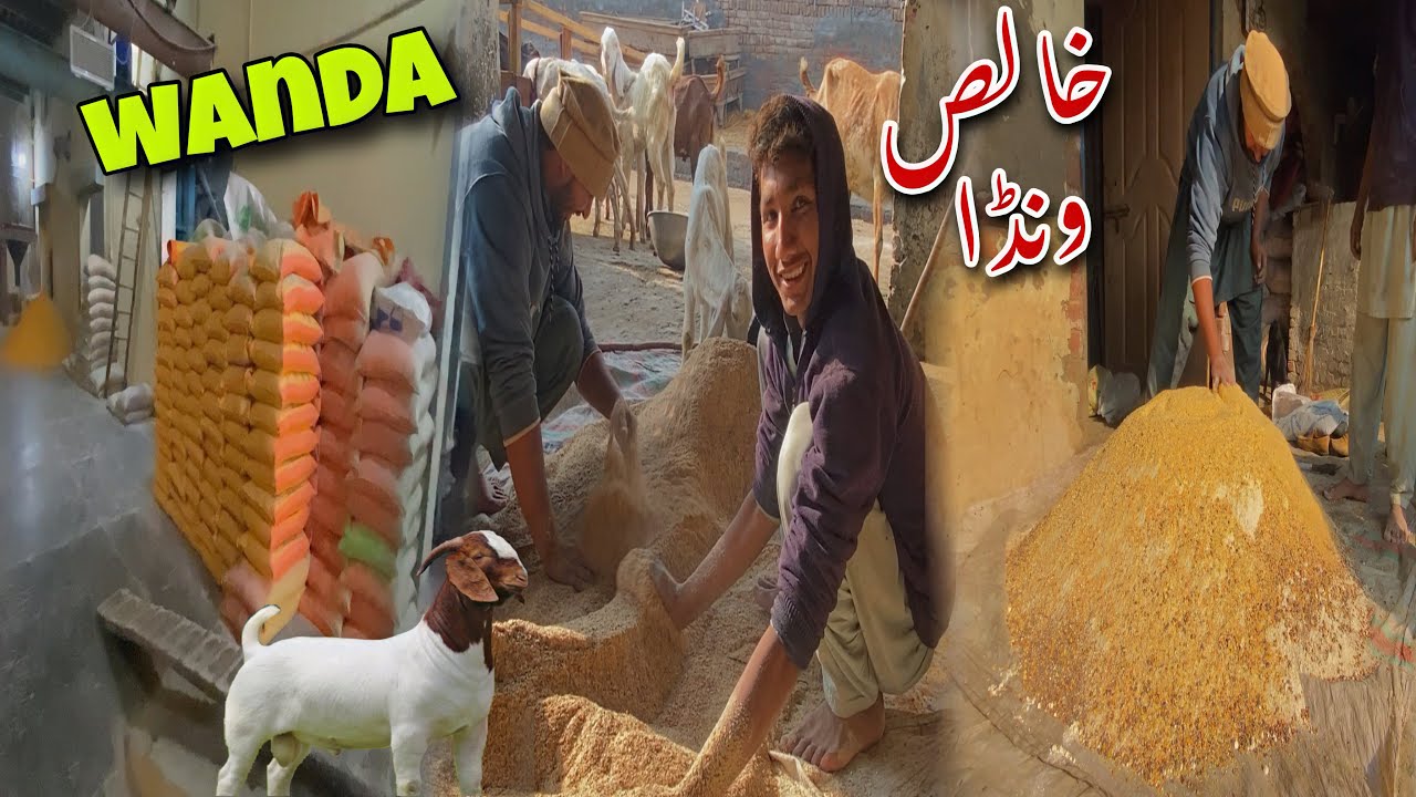 Bakriyon Ke Liye Wanda 😍 | Ghar Par Banana + Mill Visit