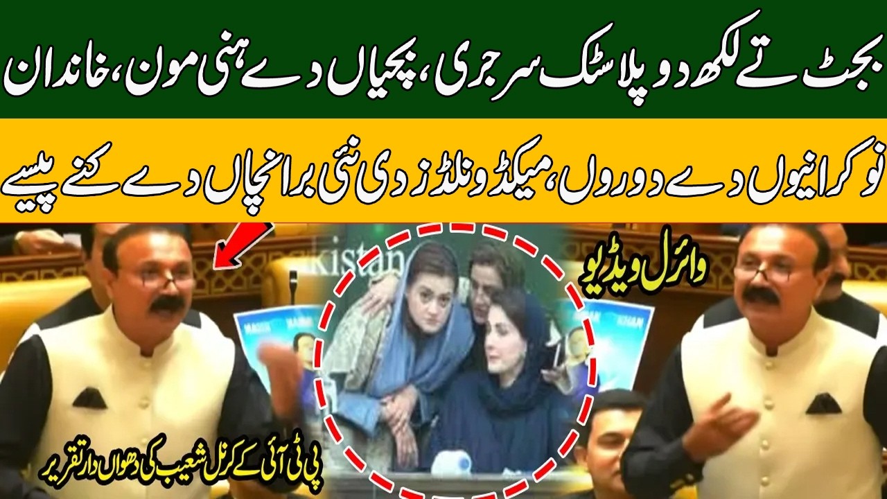 PTI Col (R) Shoaib Ameer VS Maryam Nawaz Punjab Assembly Fiery Speech | Budget For plastic Surgery