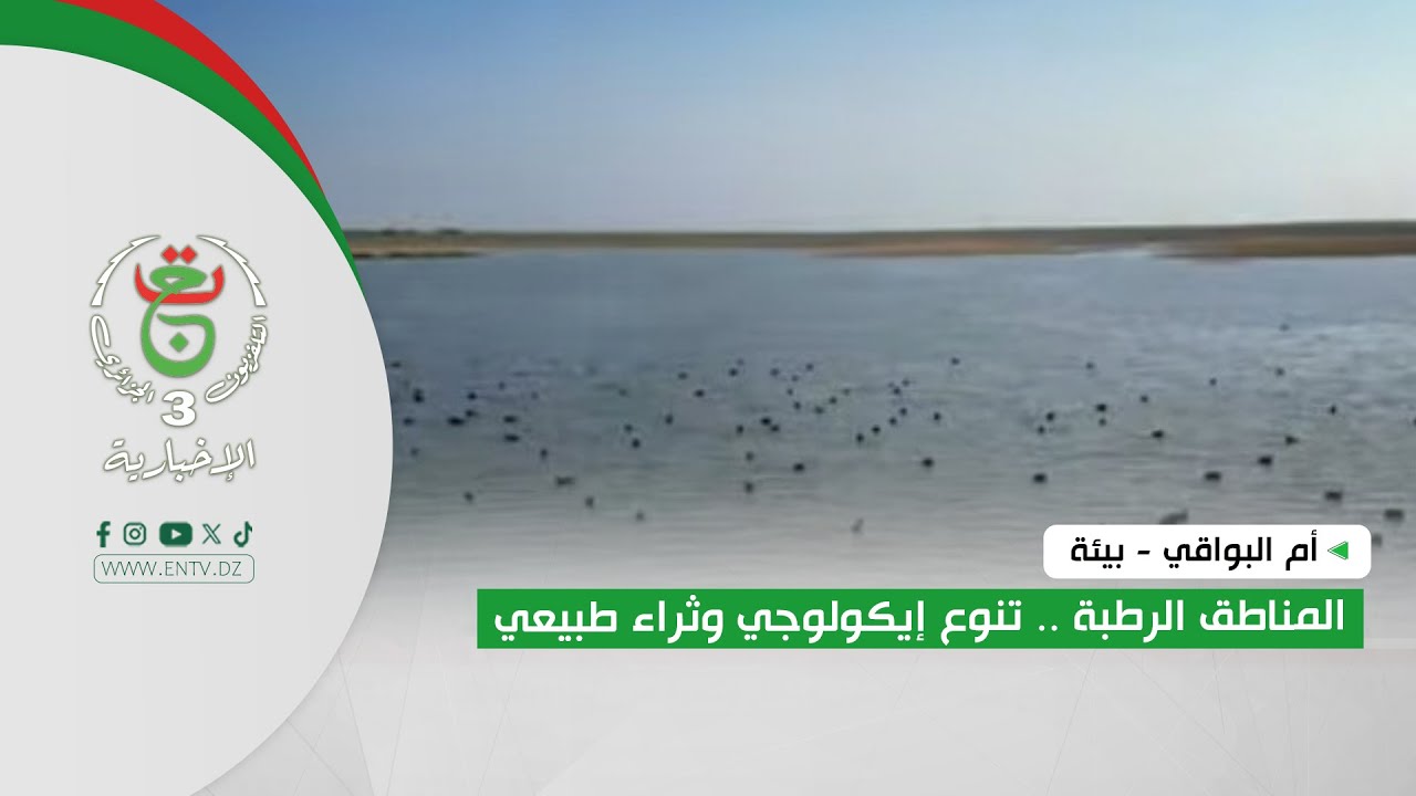 أم البواقي - بيئة | المناطق الرطبة .. تنوع إيكولوجي وثراء طبيعي