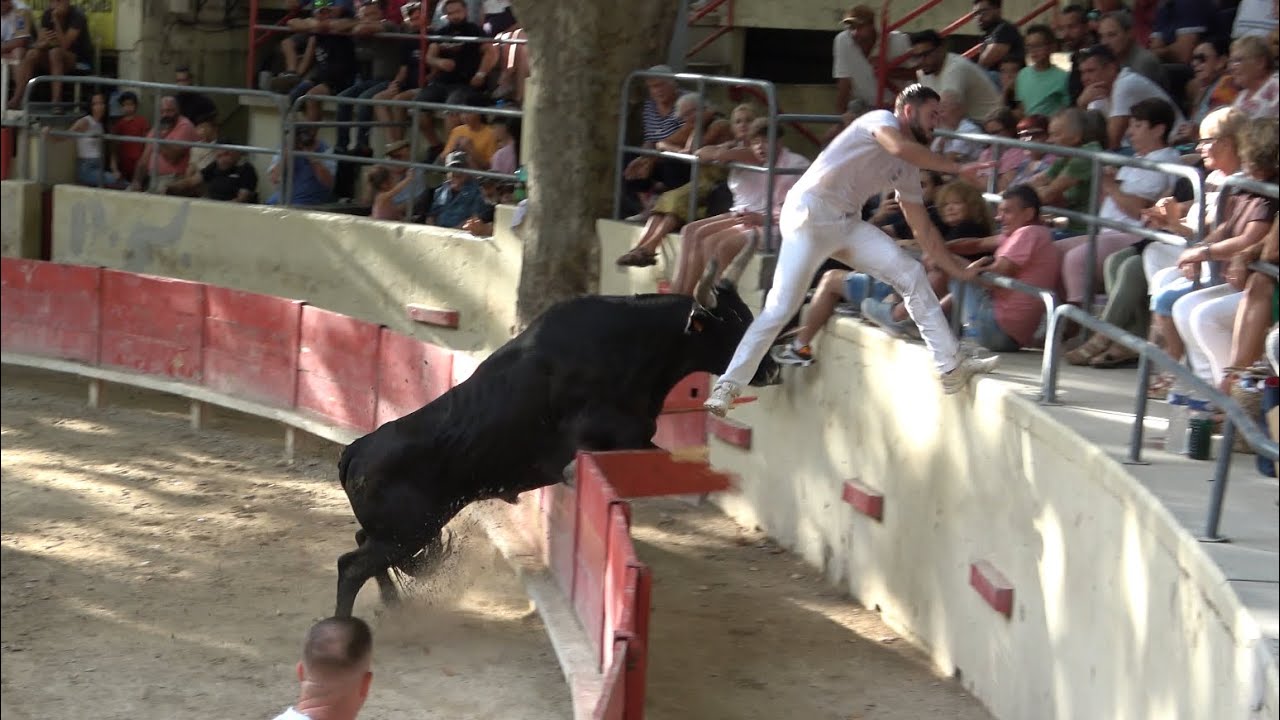 SOMMIERES COURSE AS 31/08/25