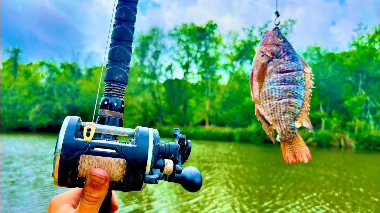 I threw a massive bait in a Houston bayou and this happened ! (surprise catch)