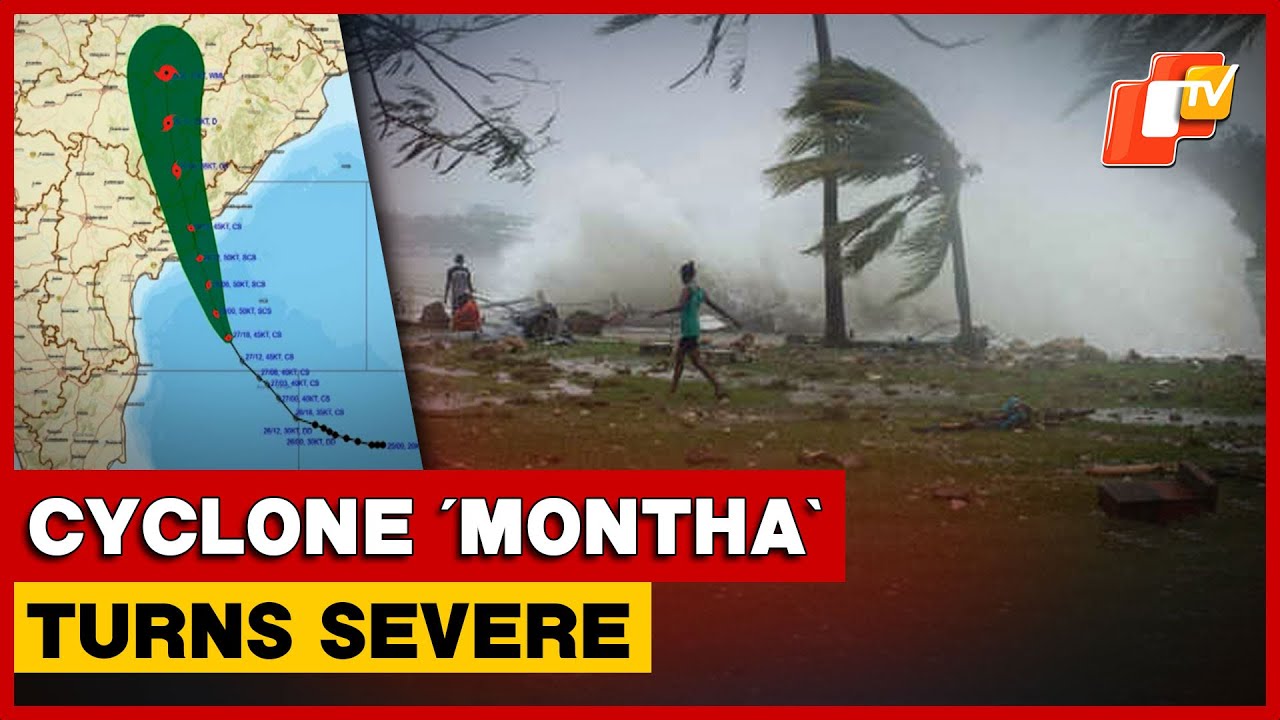Cyclone &lsquo;Montha&rsquo; Turns Into Severe Cyclonic Storm: How IMD Classifies Storms By Intensity