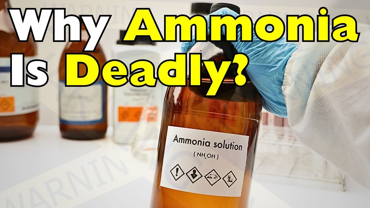 Why Ammonia Can Kill You Faster Than You Think