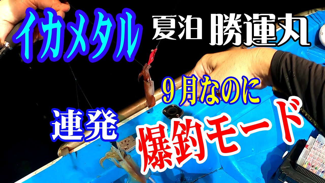 【イカメタル】9月になっても爆釣が続く白イカ釣りに行ってきました。