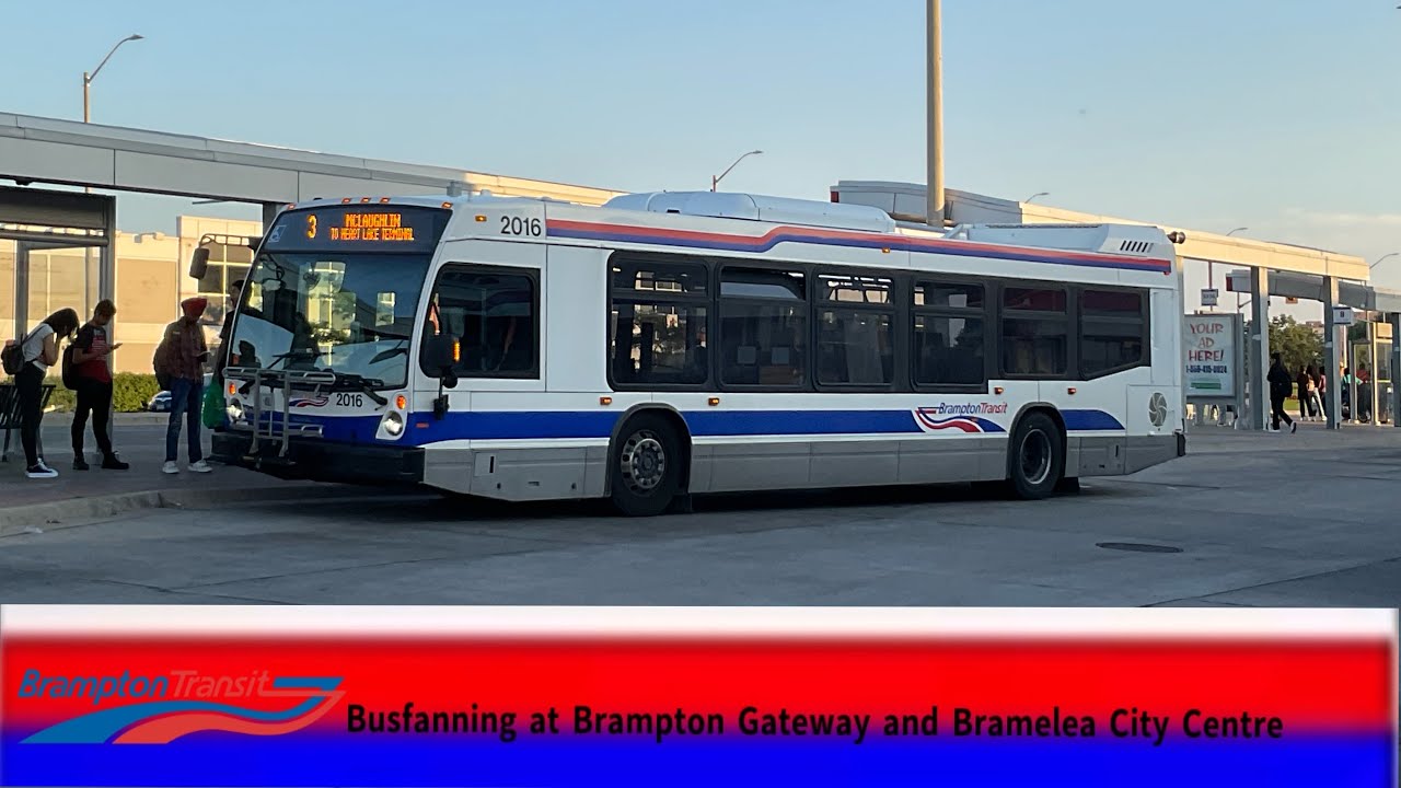 Brampton Transit Busfanning at Bramelea Terminal and Gateway terminal