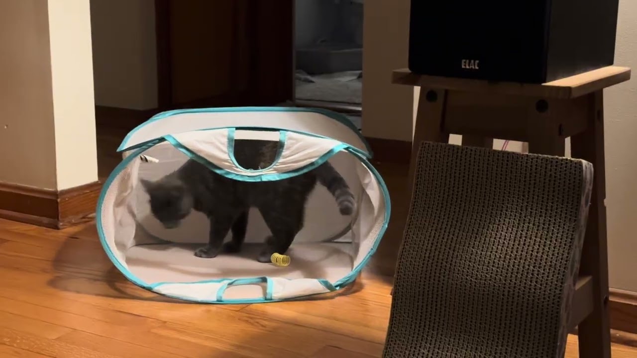 Hamper scamper