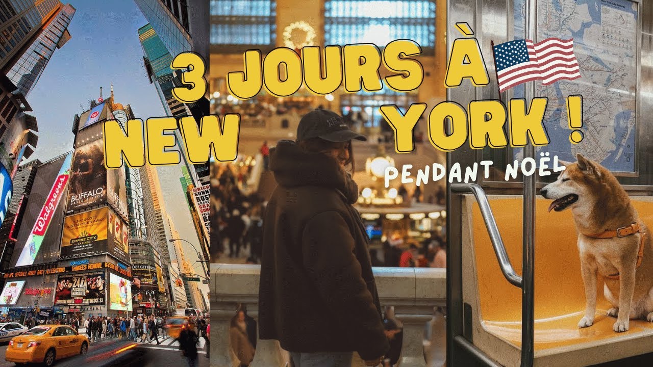 Week-end de Noël à New York & SantaCon!!! 🌭🎄🚕🇺🇸