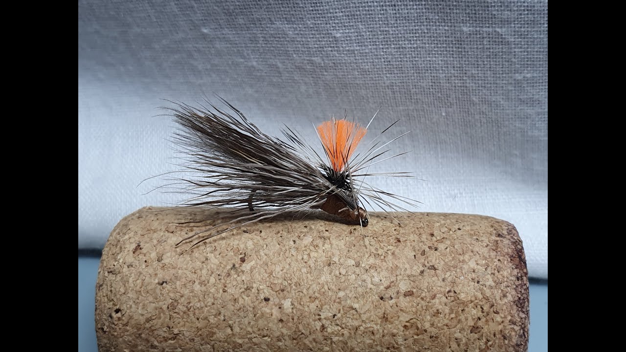 Tabanas fly - parachute sedge