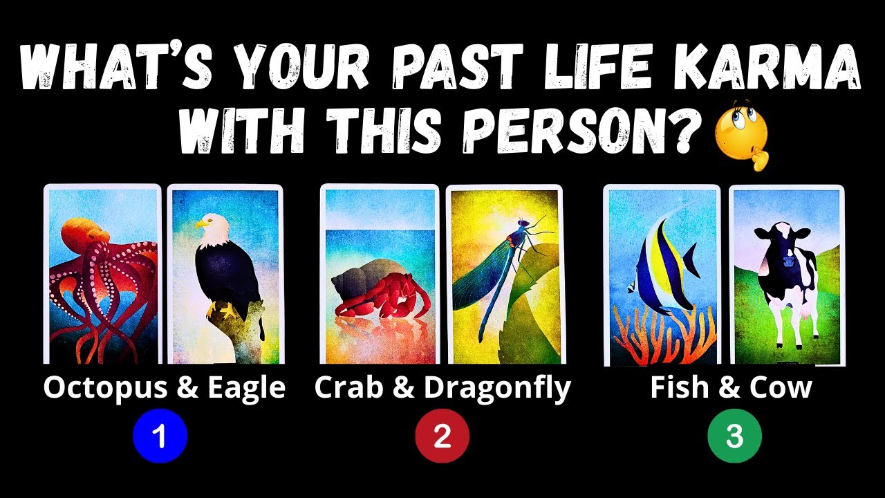 What's Your Past Life Karma With This Person? (Akashic Reading)⏐ PICK A CARD