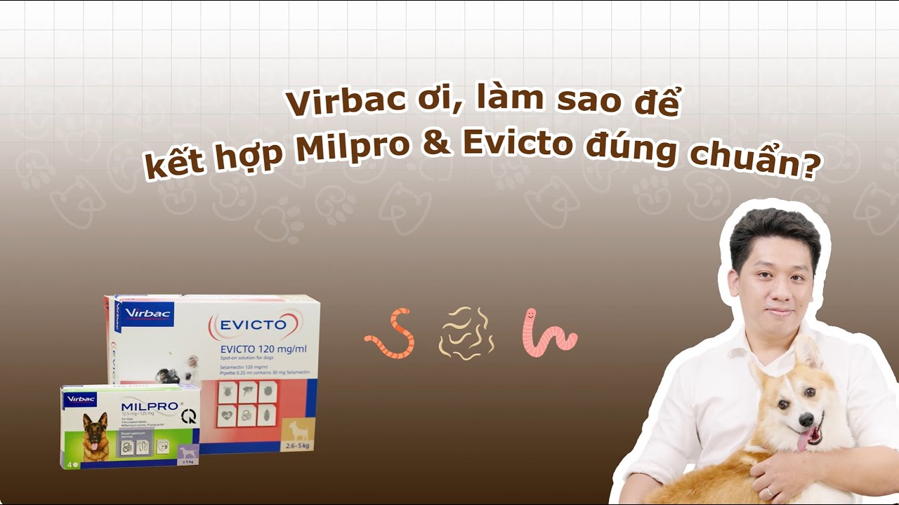 Phòng ngừa giun sán, nội ngoại ký sinh chó mèo an toàn hiệu quả KẾT HỢP MILPRO & EVICTO ĐÚNG CHUẨN