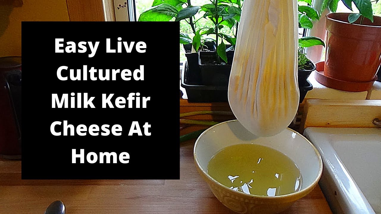 How to make milk kefir cheese.