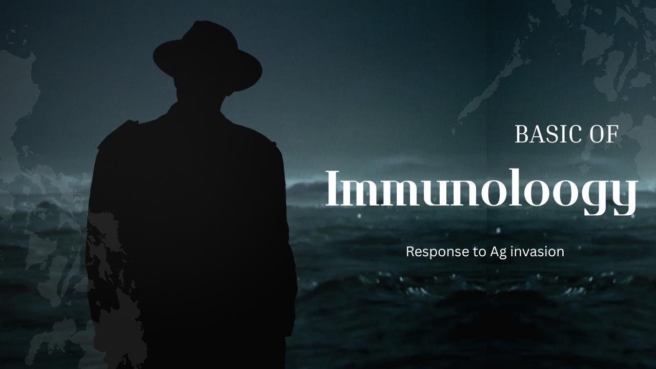 Immune Response Explained: What Happens When Viruses & Bacteria Enter the Body?