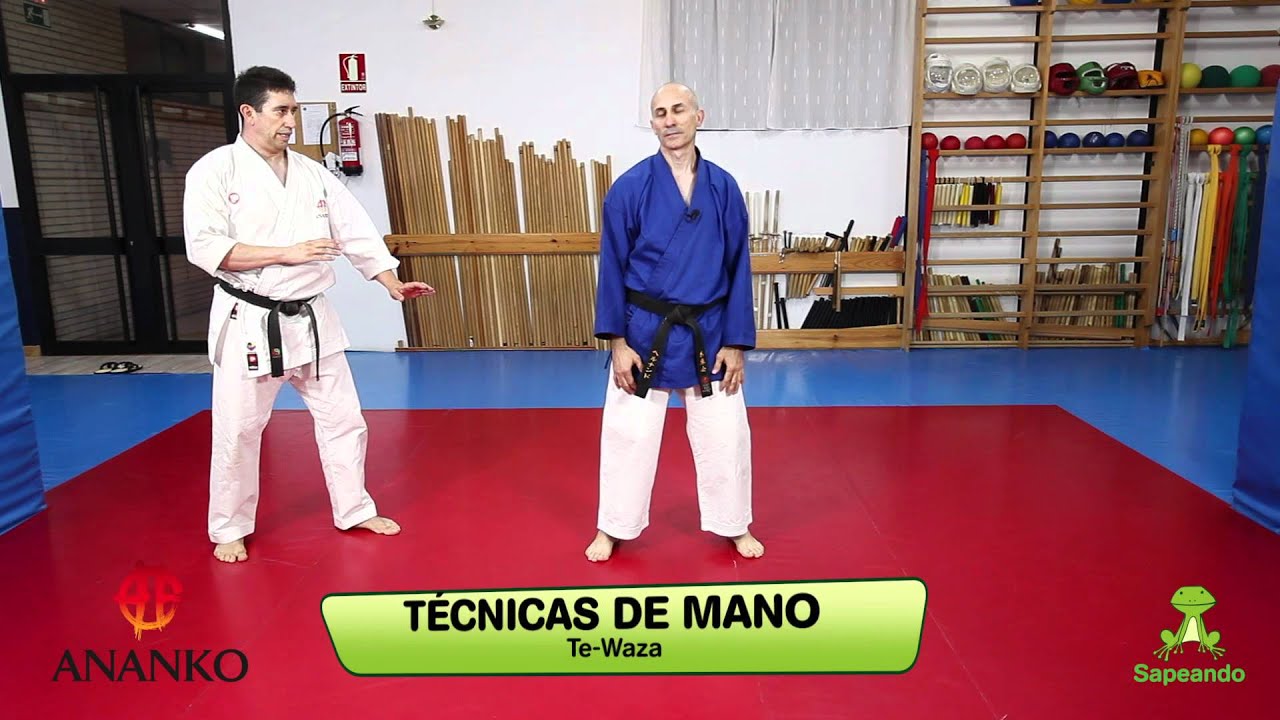 Proyecciones (Nage-Waza) - Autodefensa