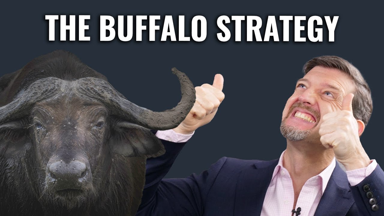 Meet the Mastermind Behind The Buffalo Strategy📈💸