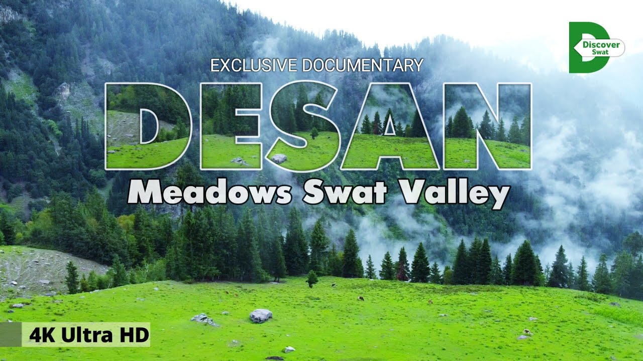 Swat Valley Desan Meadows | Travel Pakistan | Most Beautiful Meadows | Discover Pakistan | KALAM