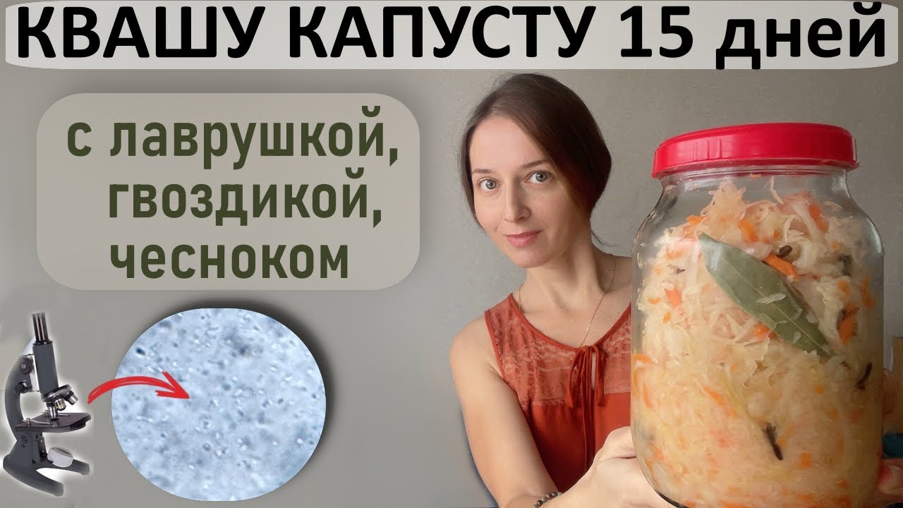 ЖКТ сказал спасибо!  Квашеная капуста со специями (смотрим под микроскопом)