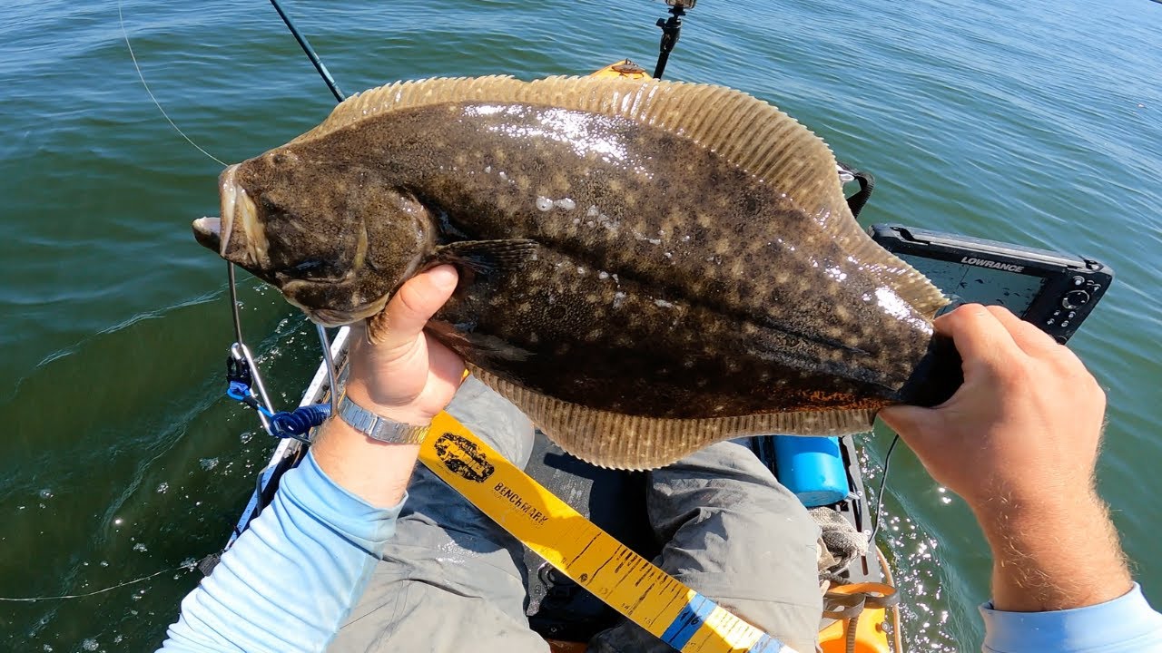 General Tso's (Sesame) Fluke! Catch and Cook | NYC Kayak Fishing