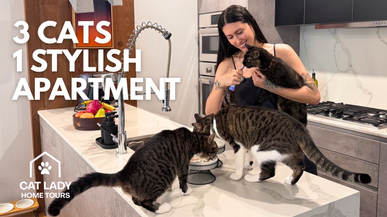 3 Cats, 1 Dog, 2 Humans &mdash; All in One Beautiful Apartment | Cat Lady Home Tour