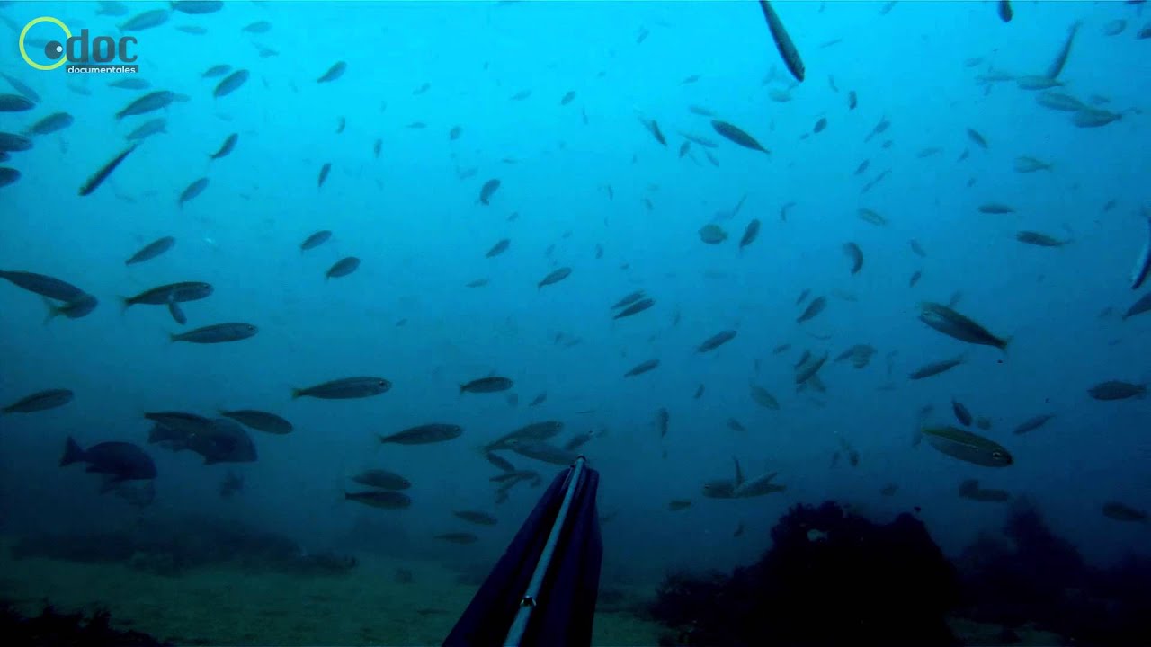 The Deepest darknes, Apnea with variable weight. Las profundas tinieblas, Apnea en peso variable.