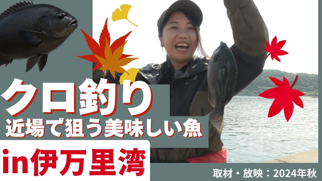 【つり具のまるきん】秋の堤防 クロ釣り 堤防から釣れる美味しい魚を狙う
