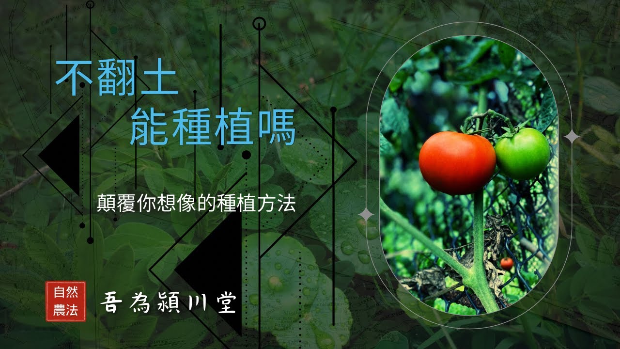 不翻耕可以嗎？不翻土種植 ，到底行不行 ？告訴你不用翻土就種植的秘訣！［吾為潁川堂 自然農法］