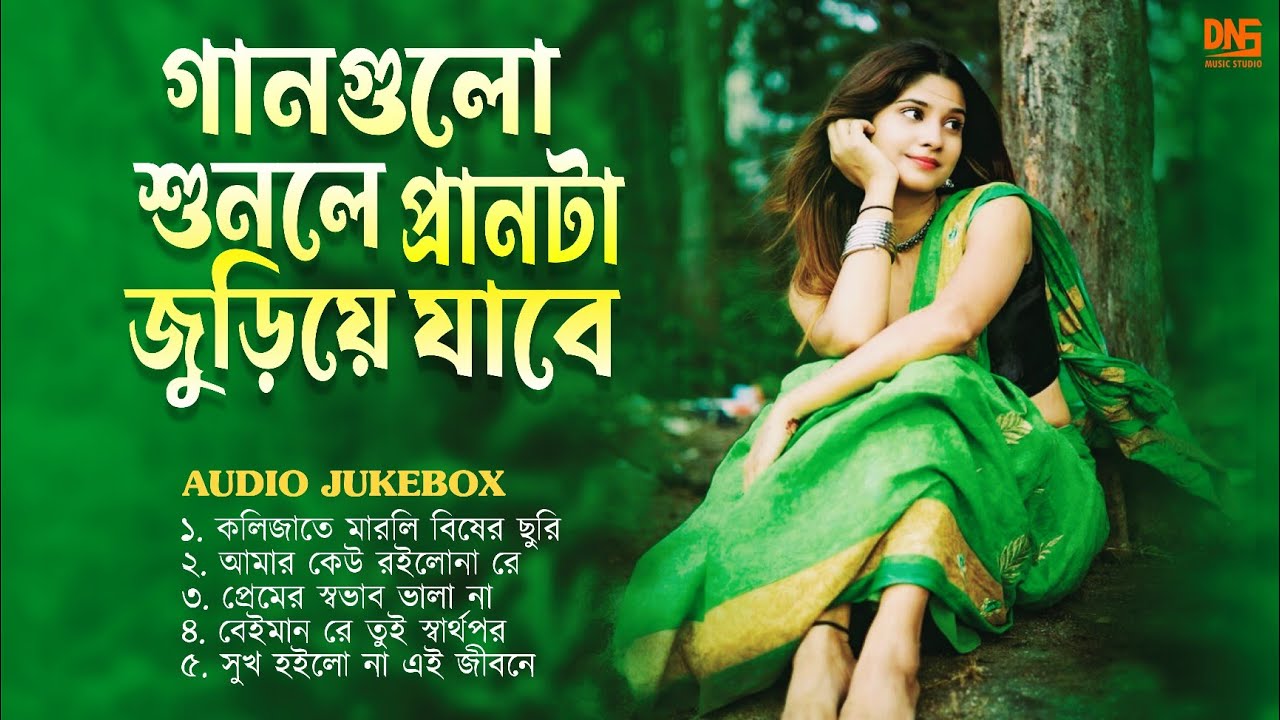 ফোক মিক্স | প্রাণ জুড়ানো কিছু বাংলা গান | Bangla Audio Album | DNS MUSIC STUDIO | Baul Abdul Aziz |