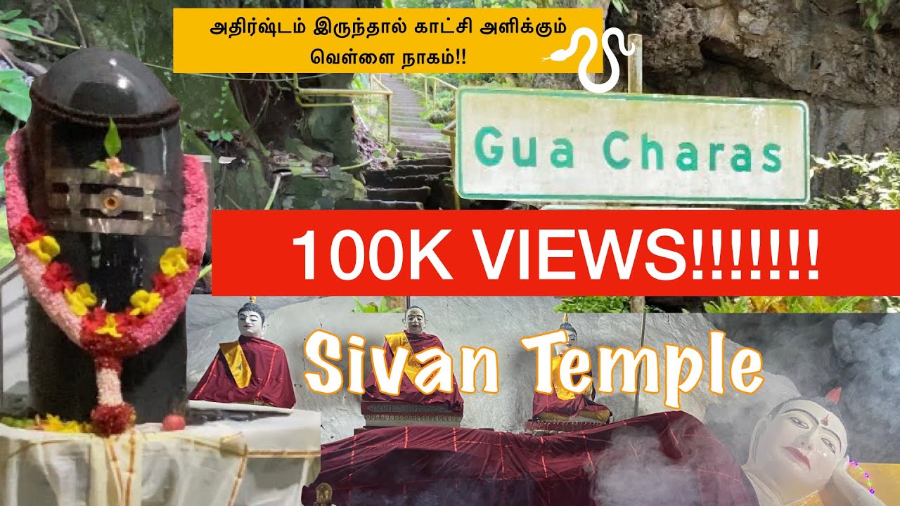 Gua Charas Sivan Temple | அதிர்ஷ்டம் இருந்தால் காட்சி அளிக்கும் வெள்ளை நாகம்!!