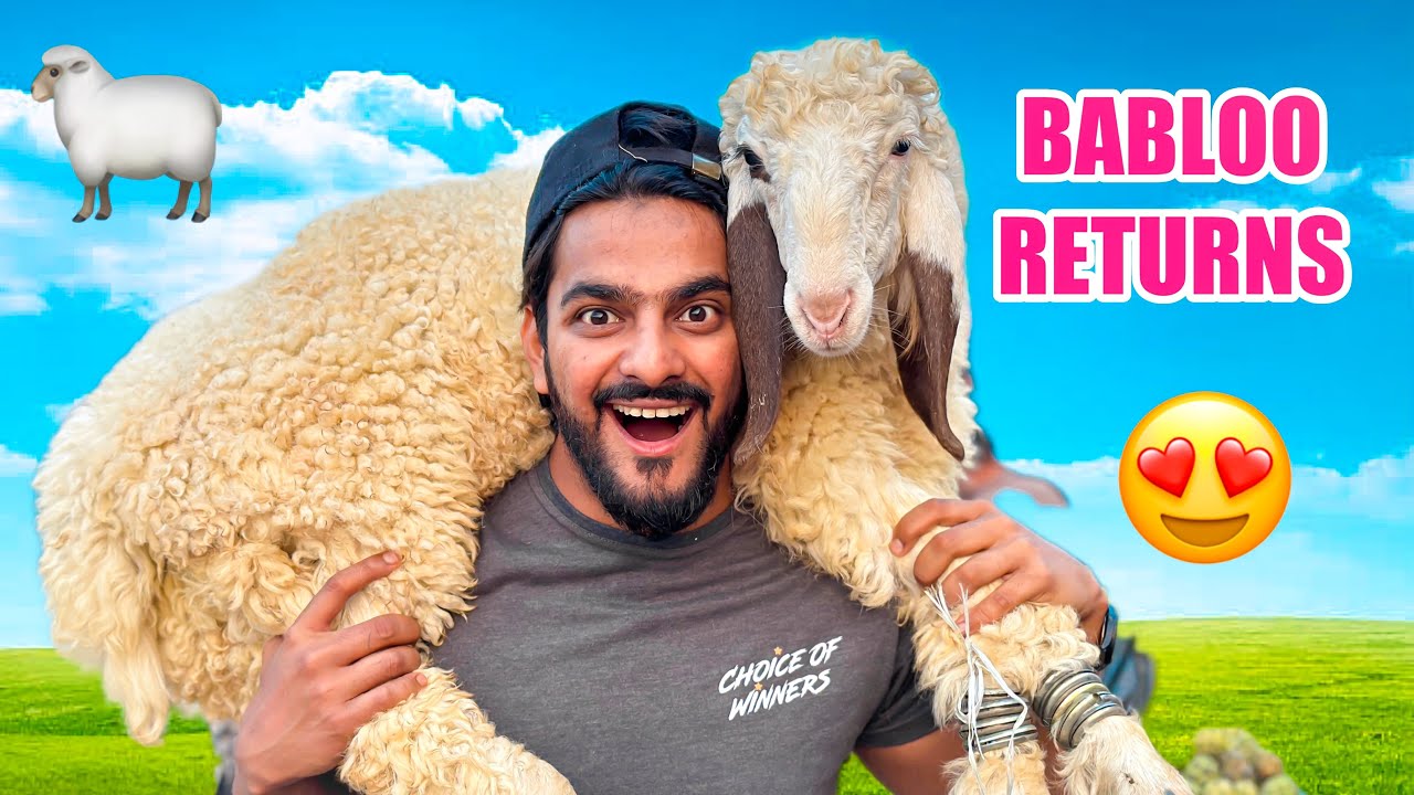 18 Hazar ka DUMBA LELIA🐑 | BABLOO Wapis Agaya😍| Mishkat Khan | The Fun Fin