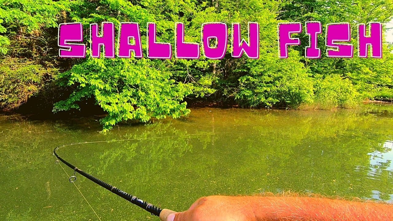Fishing my Home Lake!!  Ocoee, TN