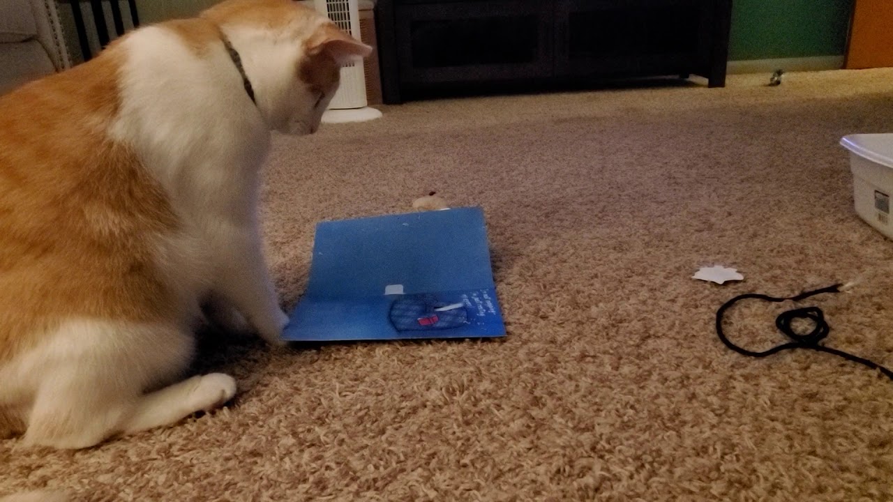 Can't leave anything out
