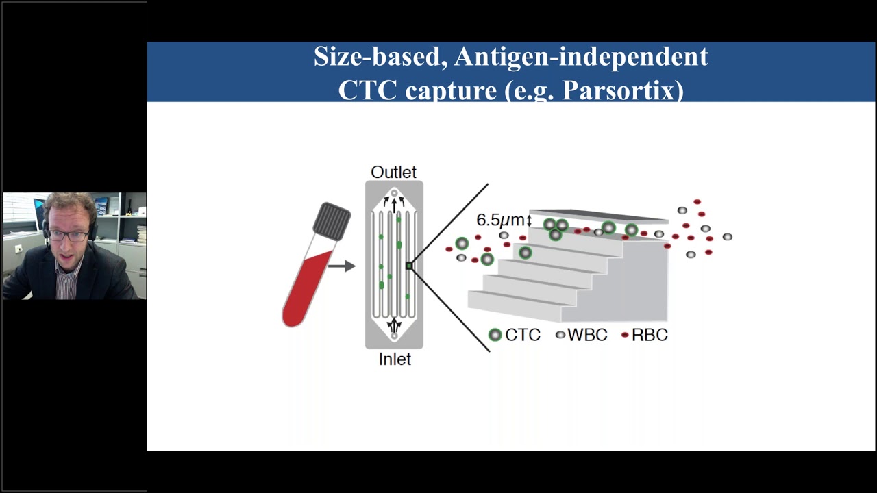 Insights into the biology of human circulating tumour cells and clinical implications
