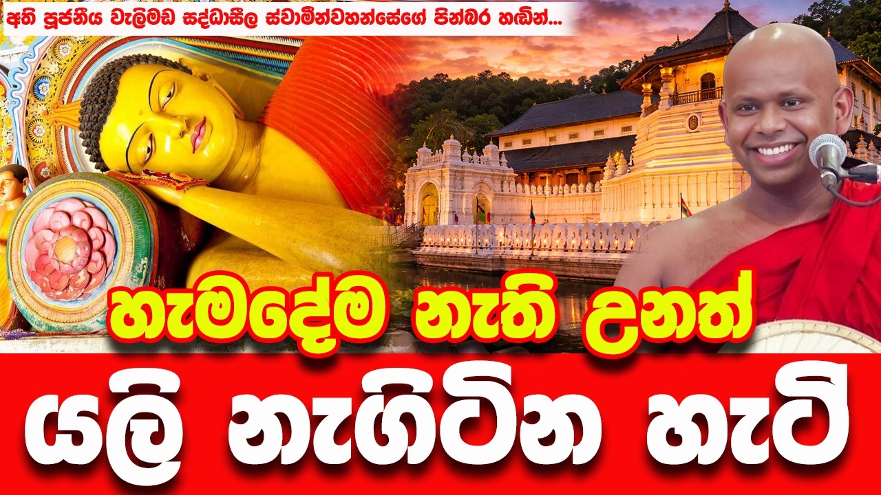 2026 අපි මෙහෙම ගොඩයමු | WELIMADA SADDASEELA THERO