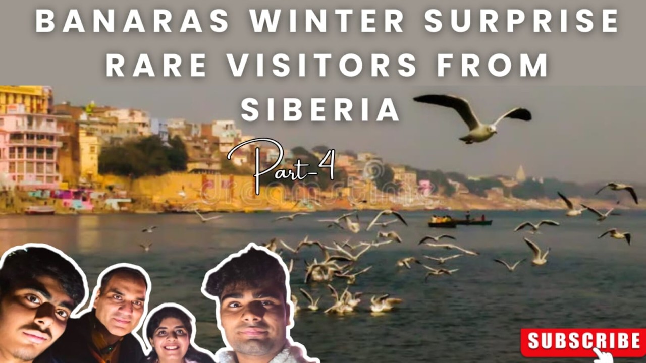 Banaras Series - Migratory Birds in Varanasi | A Winter Symphony on the Ganges | Part 4