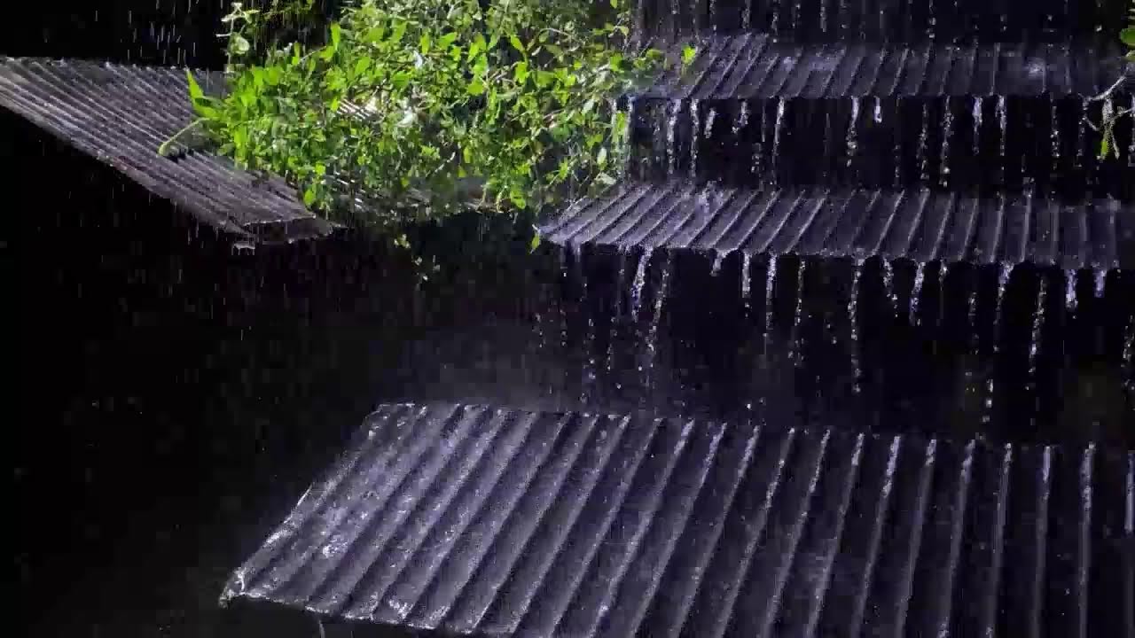 No Ads Rain Sounds for Sleeping - ASMR Heavy Rain Drenching Tin Roof for Deep Restful Sleep