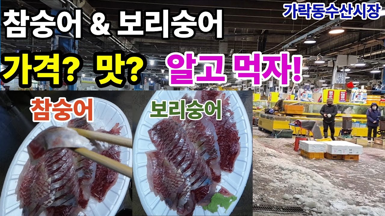 참숭어 vs 보리숭어, 뻘냄새 난다는데? 직접... #가락동수산시장#참숭어#보리숭어#숭어